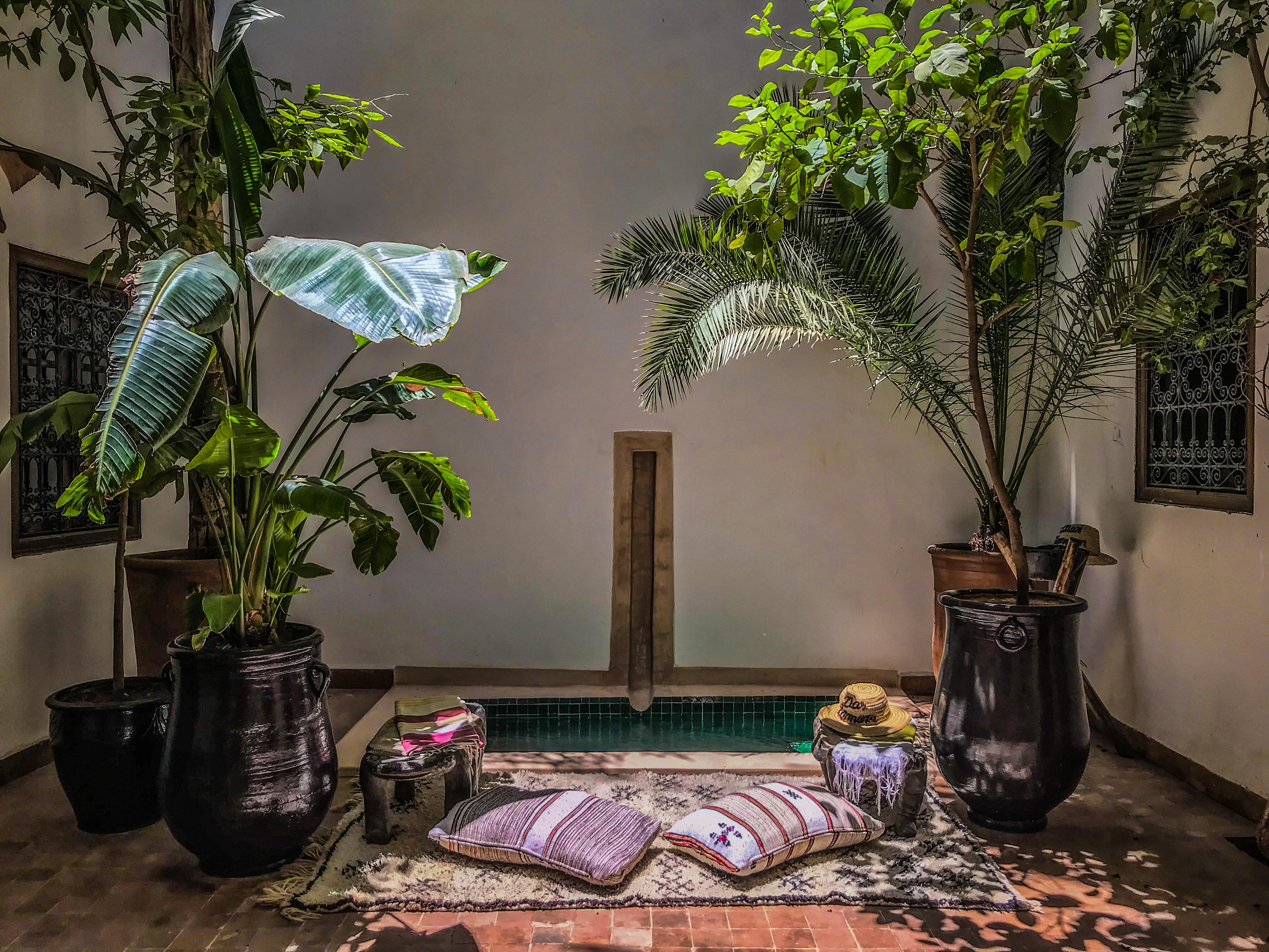 Riad Dar Zaman Marrakesh Eksteriør bilde